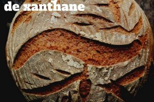 gomme de xanthane – quel et le problème